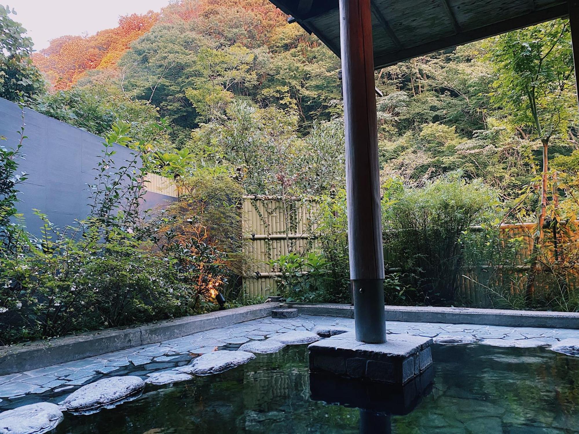Onsen Guest House Tsutaya Hakone Bagian luar foto